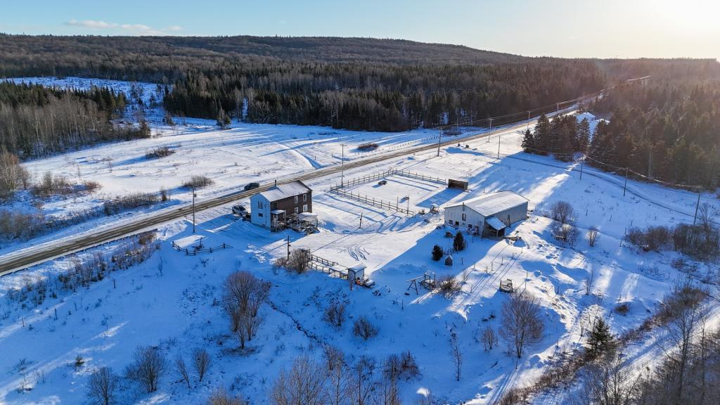 Spacieuse centenaire de 5 chambres à 148 000 $