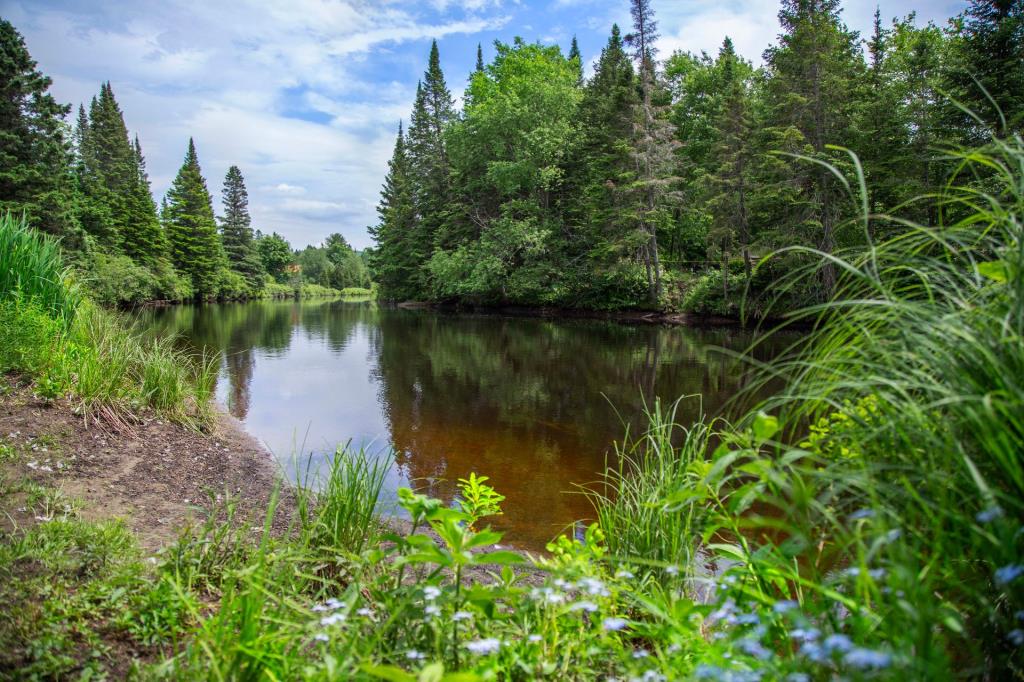 Intergénérationnelle sise sur un immense site d'une beauté exceptionnelle