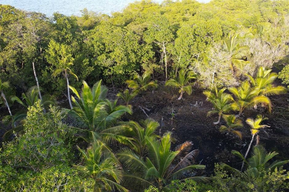 Pas besoin d’être millionnaire pour être propriétaire d’une île