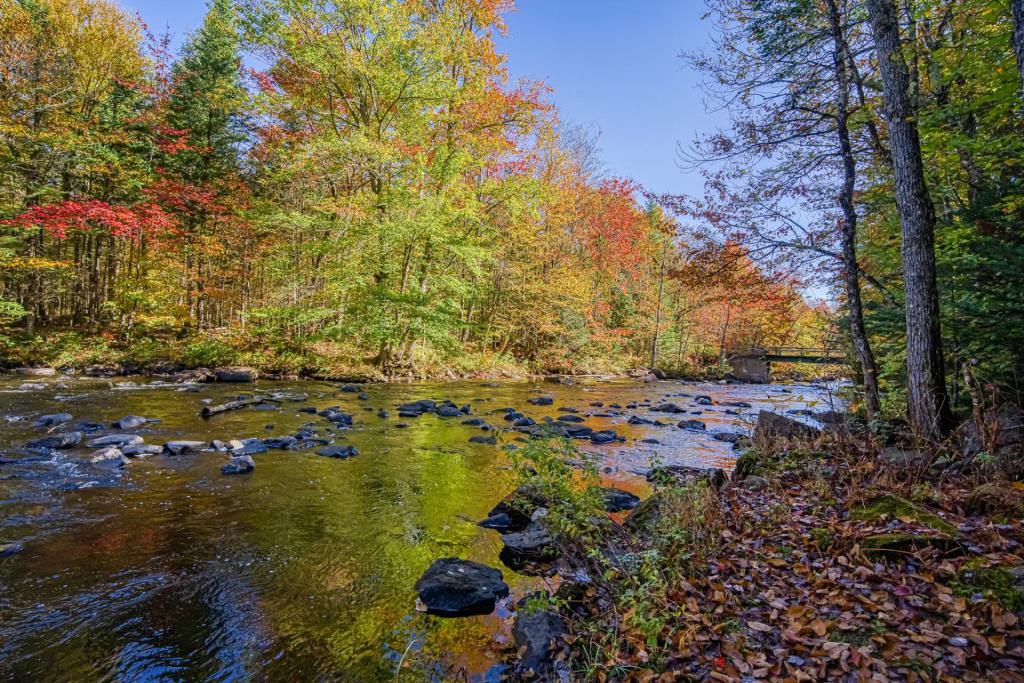 Paix, ressourcement et vue sur la rivière: ce refuge clés en main vous attend dans les Laurentides