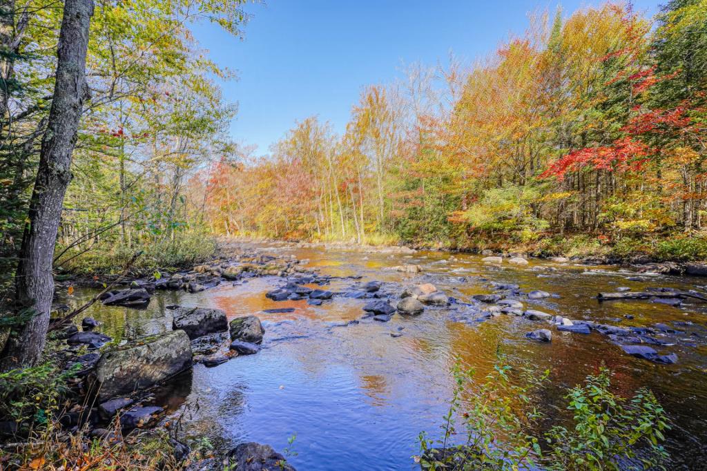 Paix, ressourcement et vue sur la rivière: ce refuge clés en main vous attend dans les Laurentides