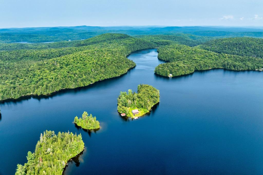 Tout meublé et équipé! Chaleureux chalet niché sur une île privée