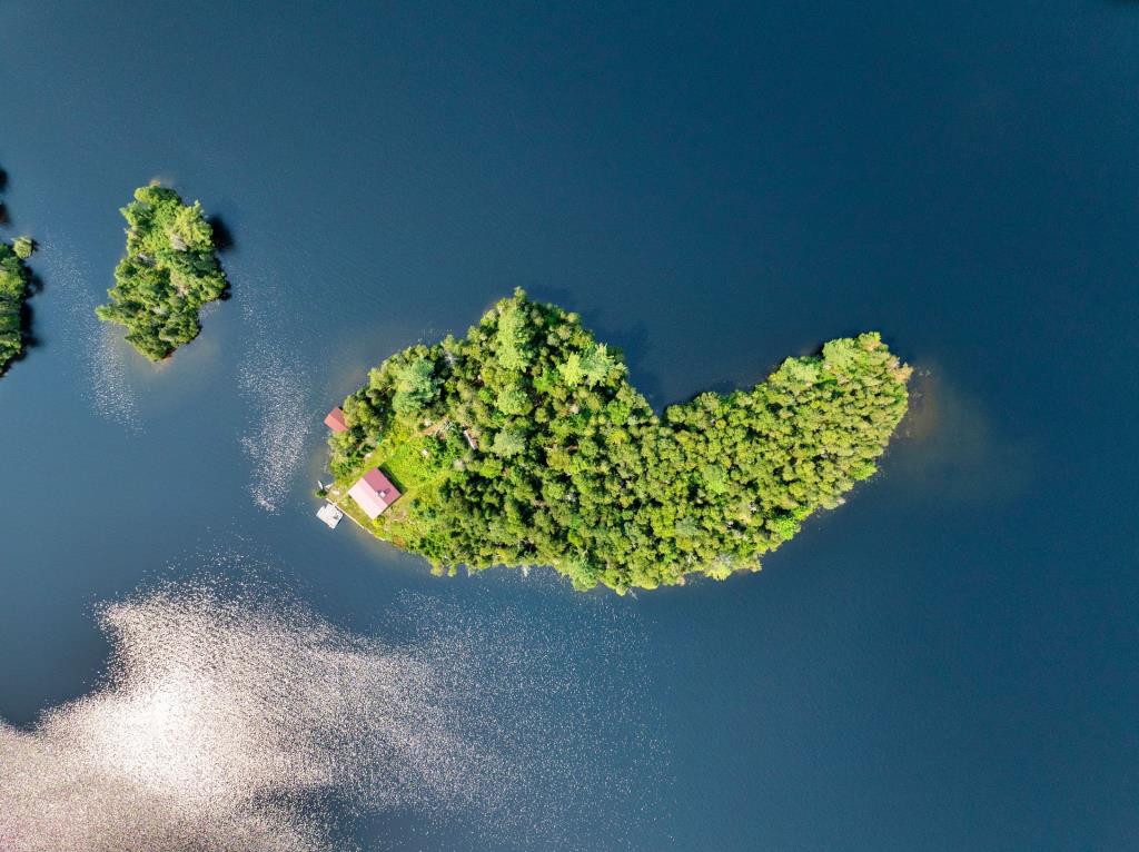 Tout meublé et équipé! Chaleureux chalet niché sur une île privée