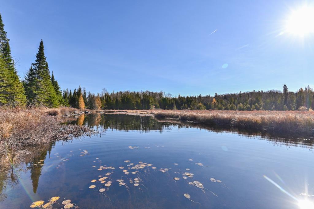 Oasis intime de plus de 75 000 pi² au milieu de la forêt