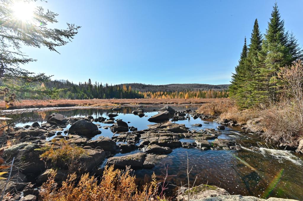 Oasis intime de plus de 75 000 pi² au milieu de la forêt