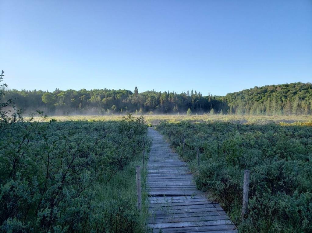 Oasis intime de plus de 75 000 pi² au milieu de la forêt