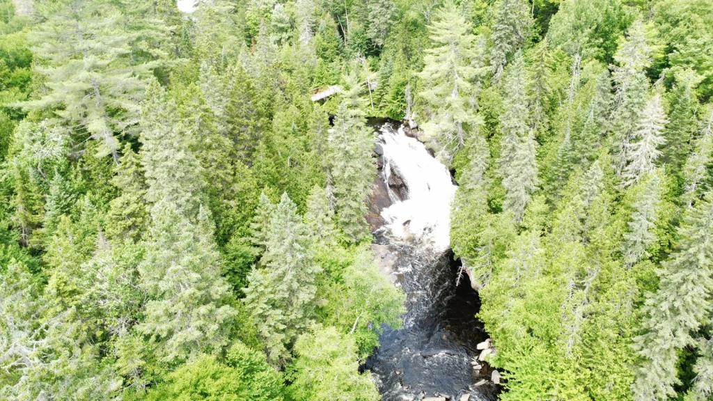 Vendue meublée à 139 000 $! Superbe mini maison au cœur de la forêt