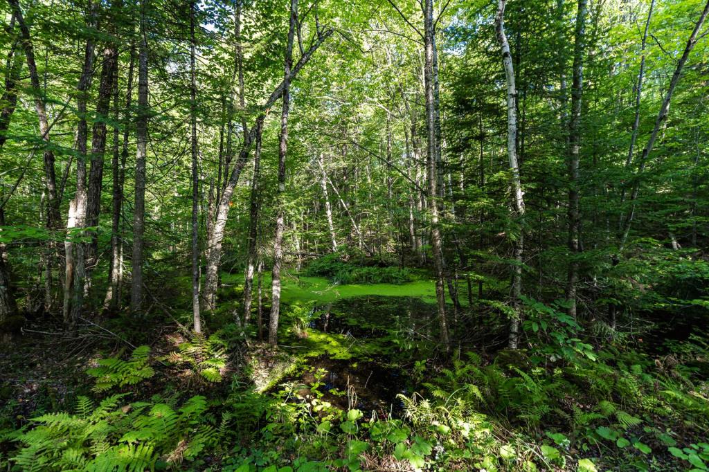 Beauté rustique longeant un lac dans un paradis boisé de plus de 138 acres