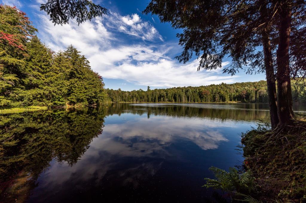 Beauté rustique longeant un lac dans un paradis boisé de plus de 138 acres