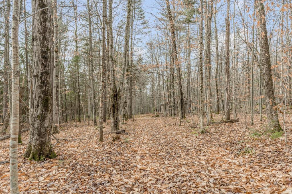 Une des rares seigneuries complètes au Québec est à vendre