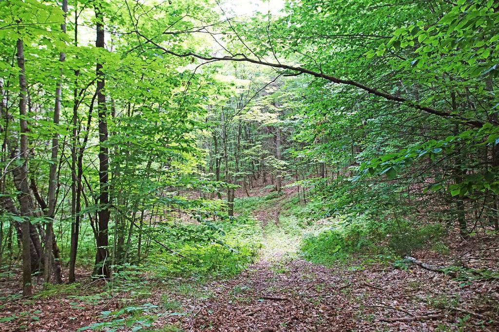 Ancienne école de rang sise sur un immense terrain de 717 419 pi²