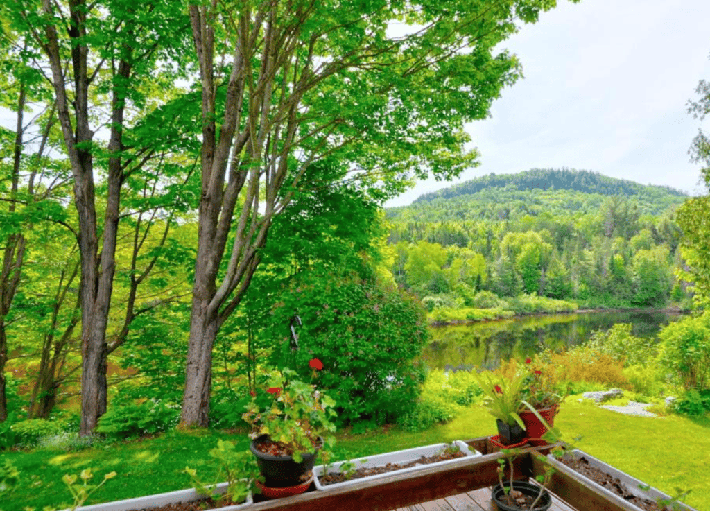 Vendu meublé ! Superbe chalet mid-century sur le bord de la rivière