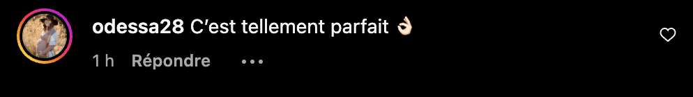 Khate Lessard ridiculise les mâles alpha avec la meilleure vidéo qu'on a vue jusqu'ici sur le sujet