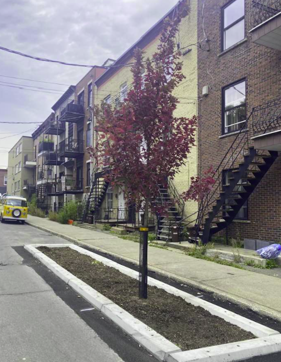 Valérie Plante et la ville de Montréal installent des zones pour planter directement dans les rues