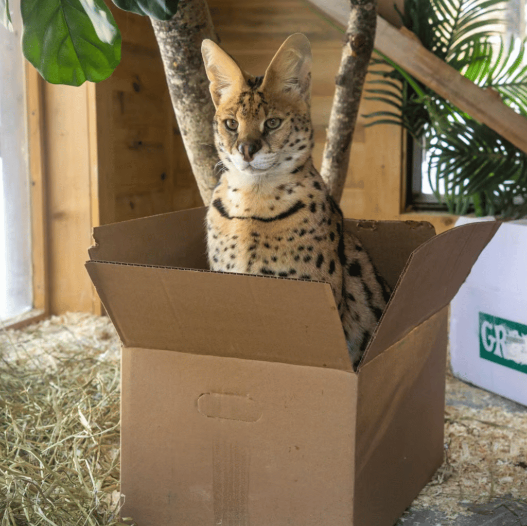 Le Miller Zoo fait une importante mise à jour alors que les fans sont grandement inquiets.