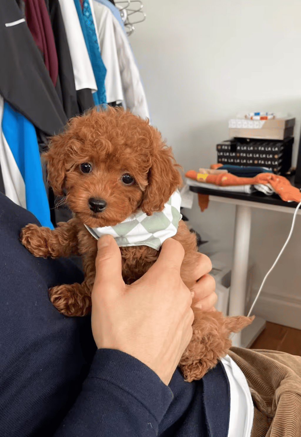 Charles-Antoine Sinotte de Salut Bonjour accueille un adorable nouveau membre dans sa famille 