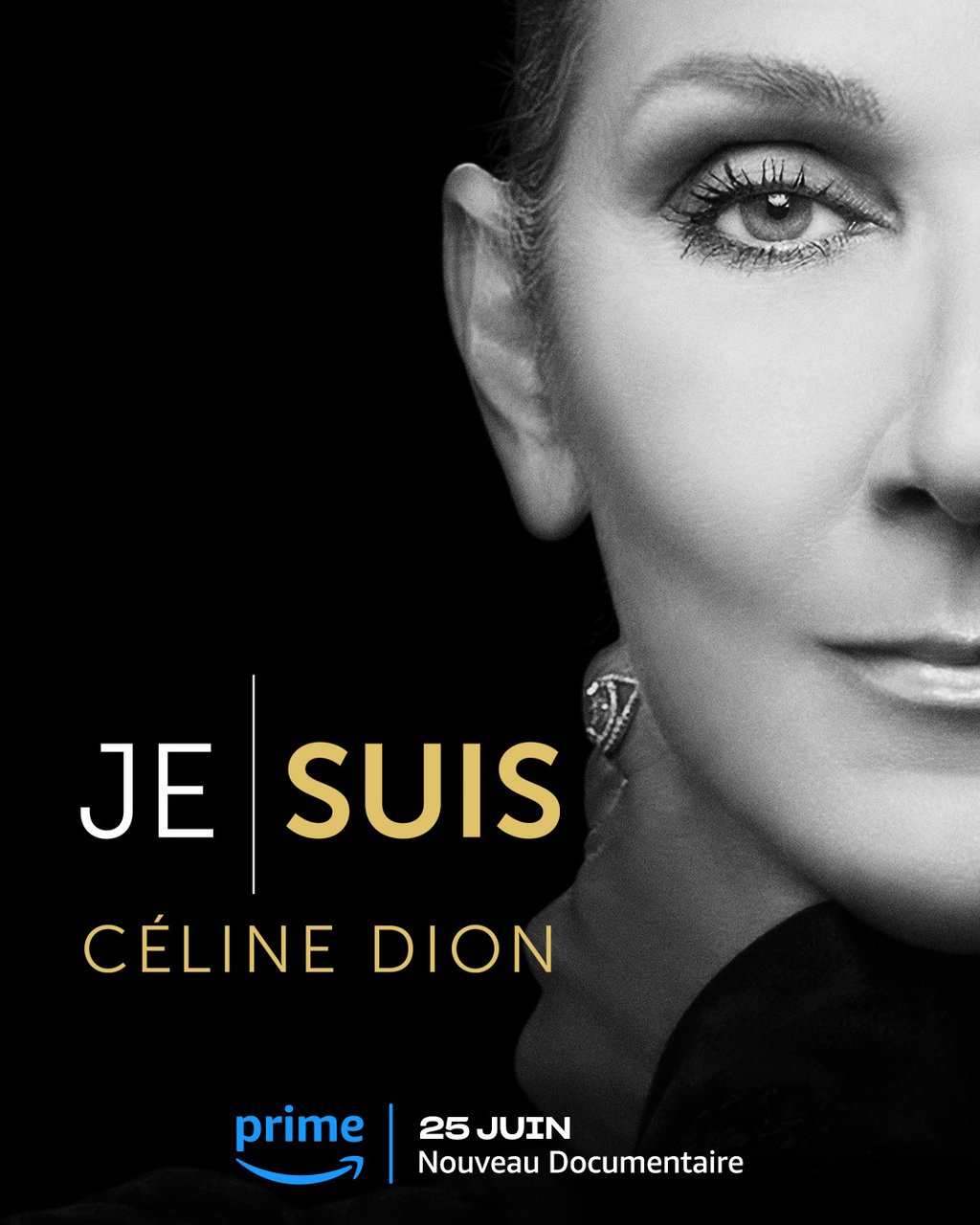 Les secours ont dû intervenir pendant la 1re du documentaire sur Céline Dion à Montréal