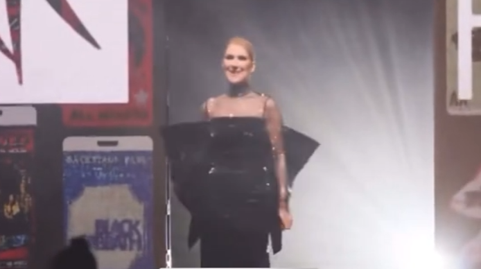 Céline Dion fait une apparition publique dans une tenue spéciale qui fait tourner les têtes