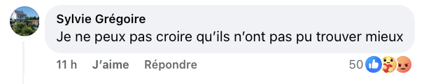 Les avis sont extrêmement partagés sur la performance de Pierre-Yves Roy-Desmarais à son 1er Gala de l'ADISQ