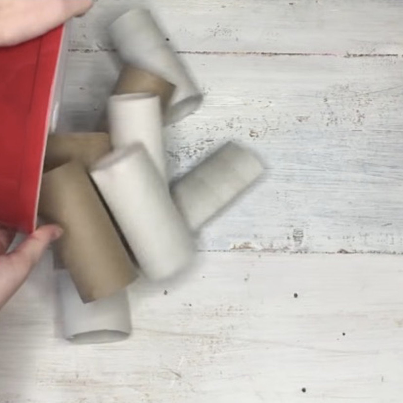 Elle récupère un sac en papier et des rouleaux de papier hygiénique pour les bricoler! Son idée est surprenante! 