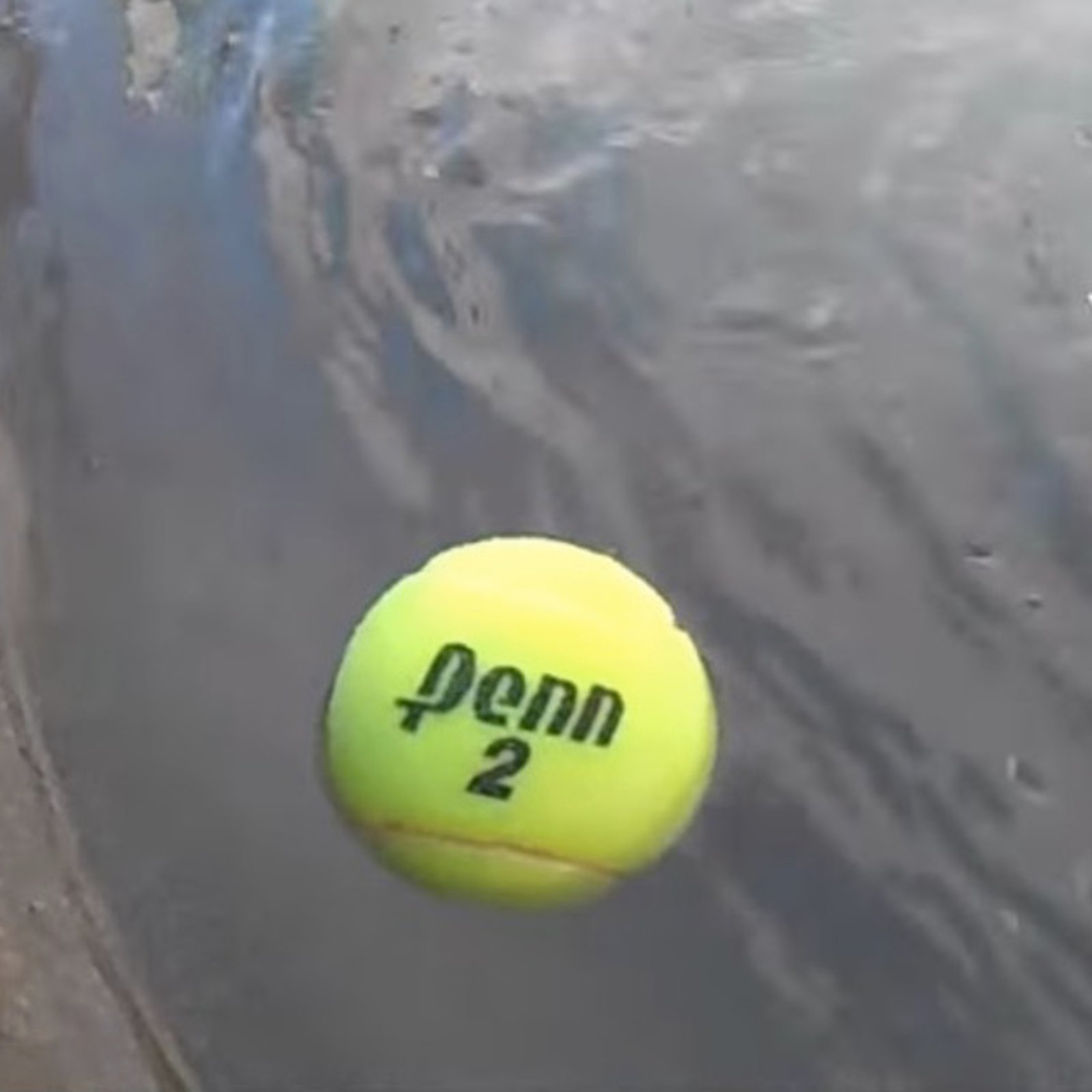 Il laisse une balle de tennis tremper dans l'eau toute la nuit! À son réveil, Il est très fier de son astuce! Parce que c'est brillant!! 