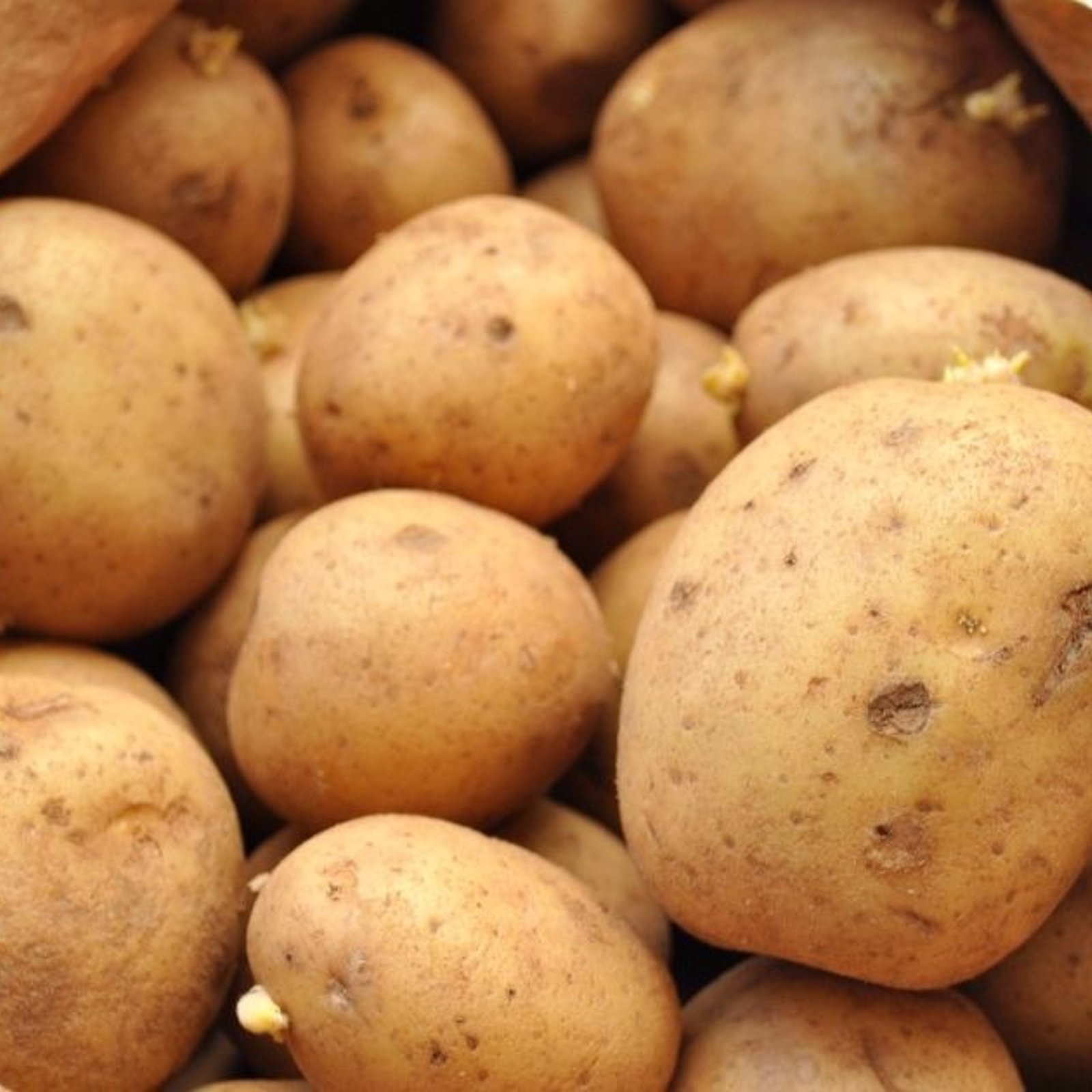 Pour éviter que les patates germent trop rapidement, cette astuce de grand-mère fonctionne à tous les coups!