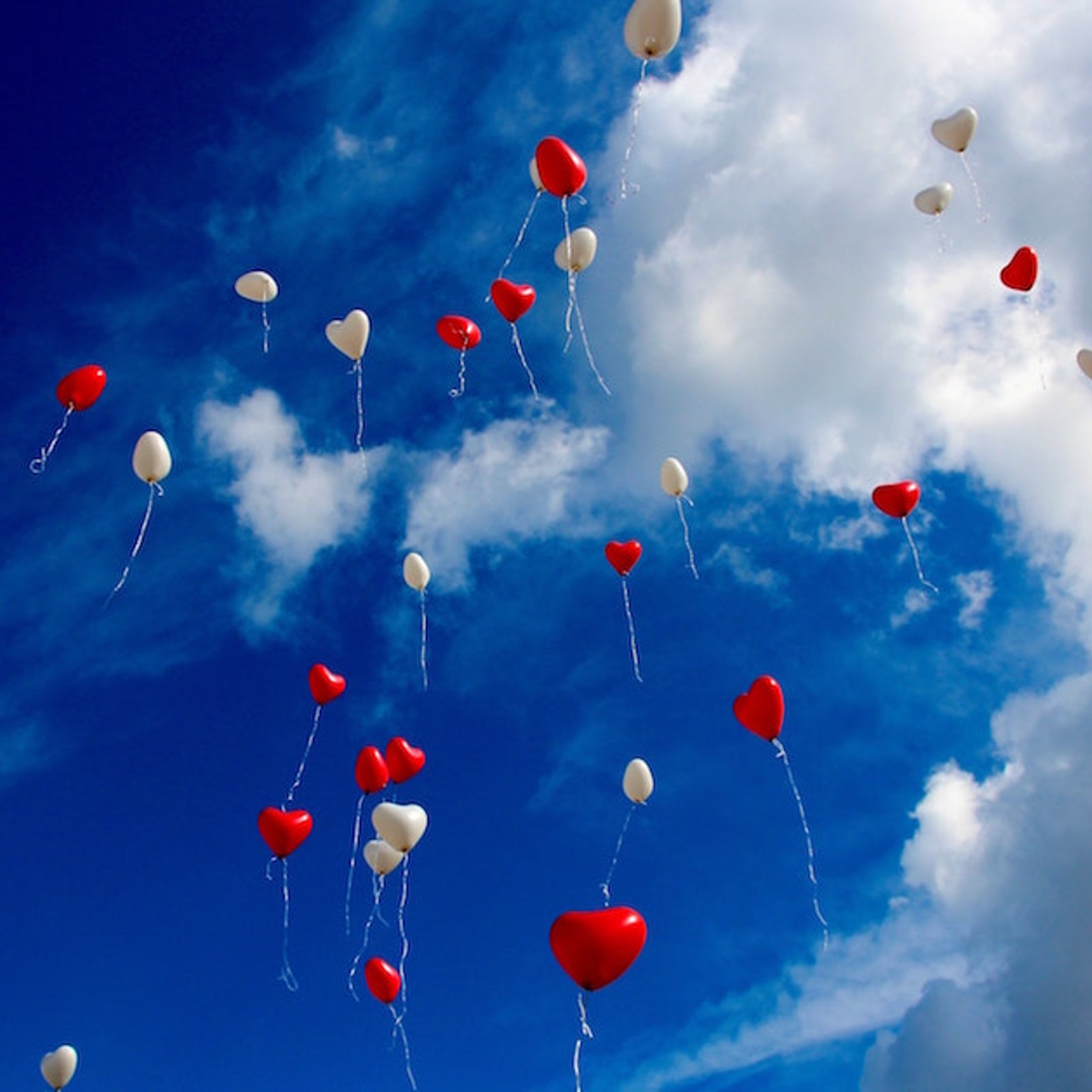 Libérer des ballons dans le ciel est nocif et dangereux. Voyez pourquoi: