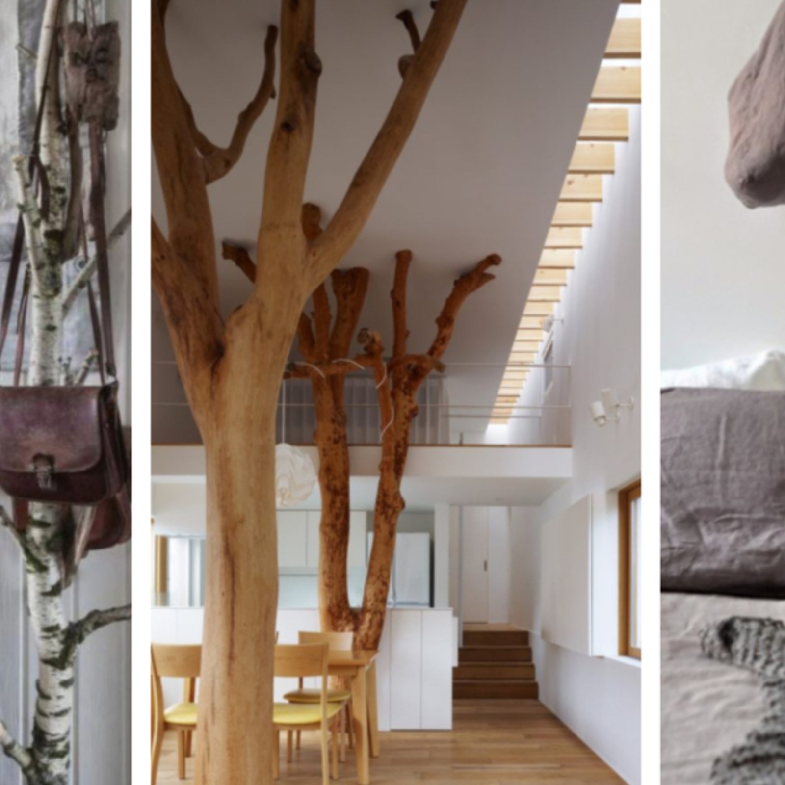 16 idées pour décorer avec des arbres et des branches