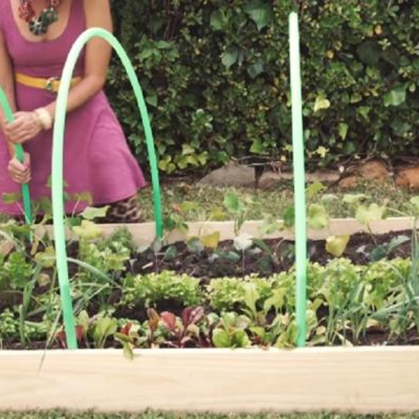 Elle plante 4 tuyaux dans la terre de son jardin! Une idée brillante qui fera toute la différence! 