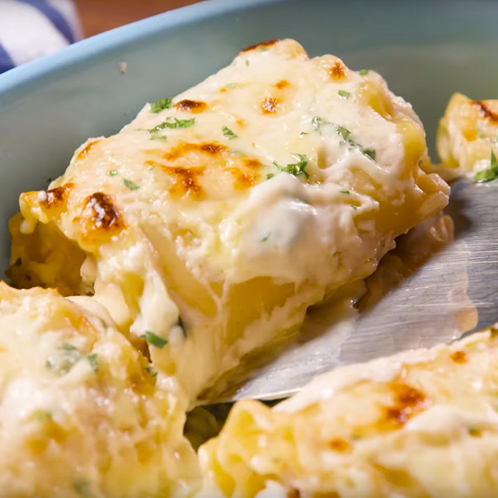 Envie de cuisiner la lasagne différemment? Ces rouleaux de lasagne au poulet Alfredo sont inégalables!