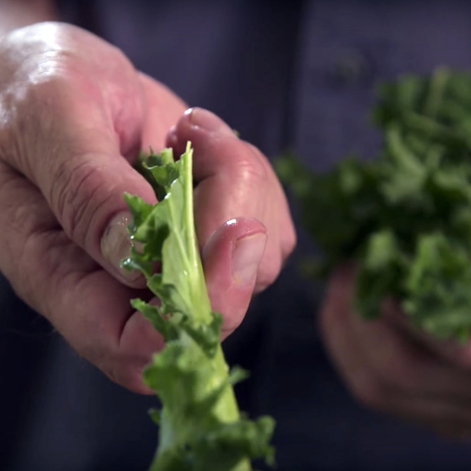 Savoureux, croquant et bourré d'antioxydants, le Kale est le roi des super-légmes!