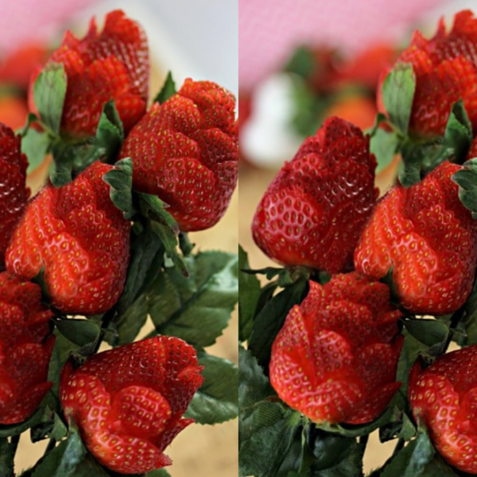 Comment faire des ROSES de fraise