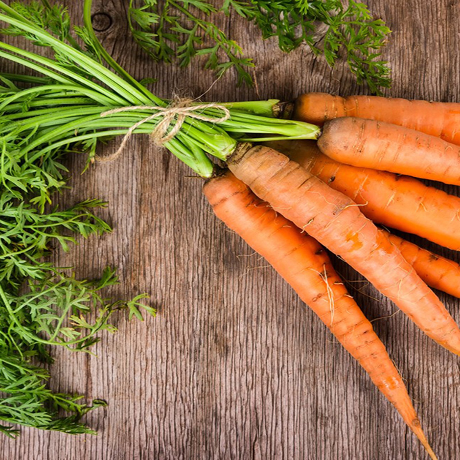 Des carottes fraîches et croquantes pendant une éternité... c'est possible!