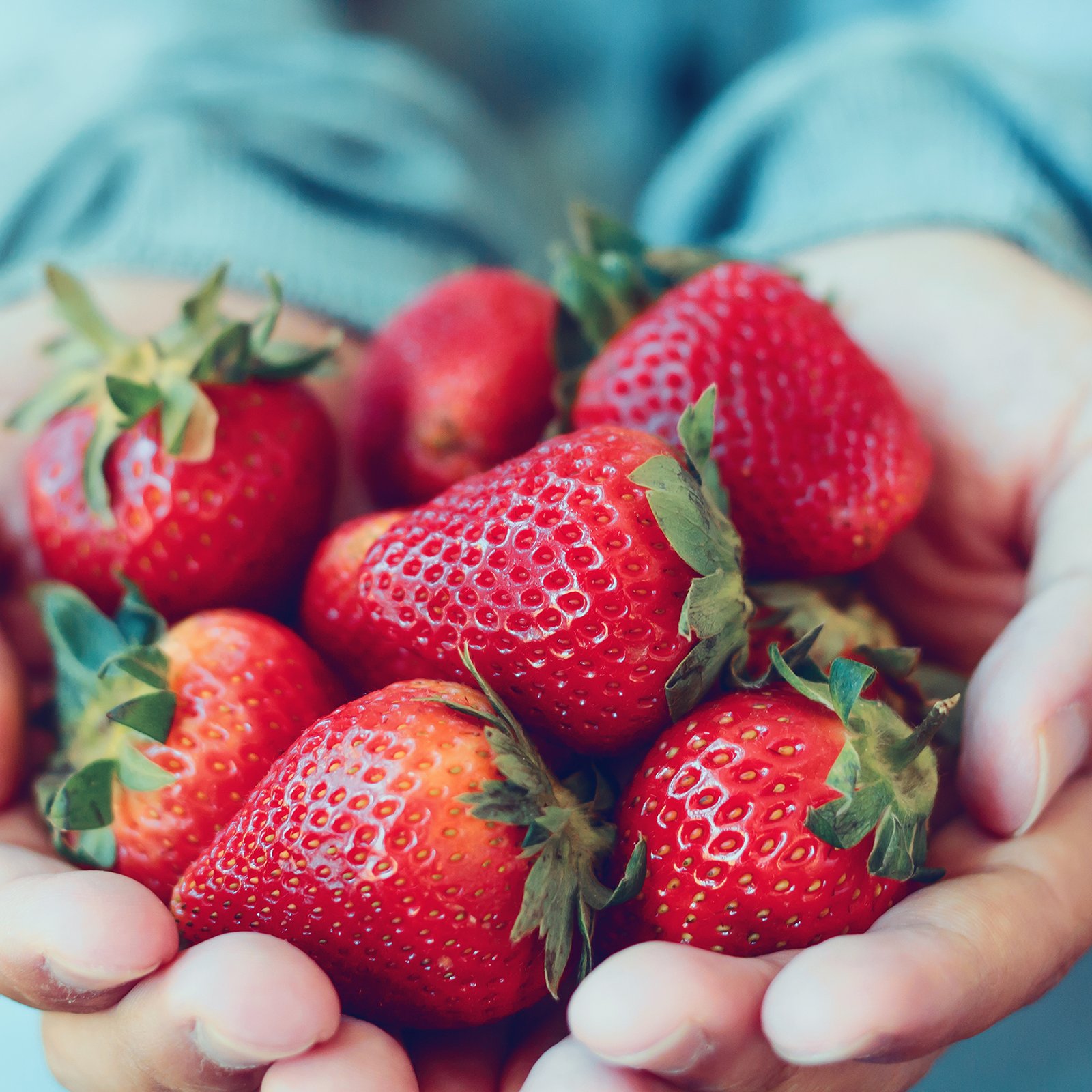 Bonne nouvelle: Les fraises du Québec sont arrivées en épiceries!