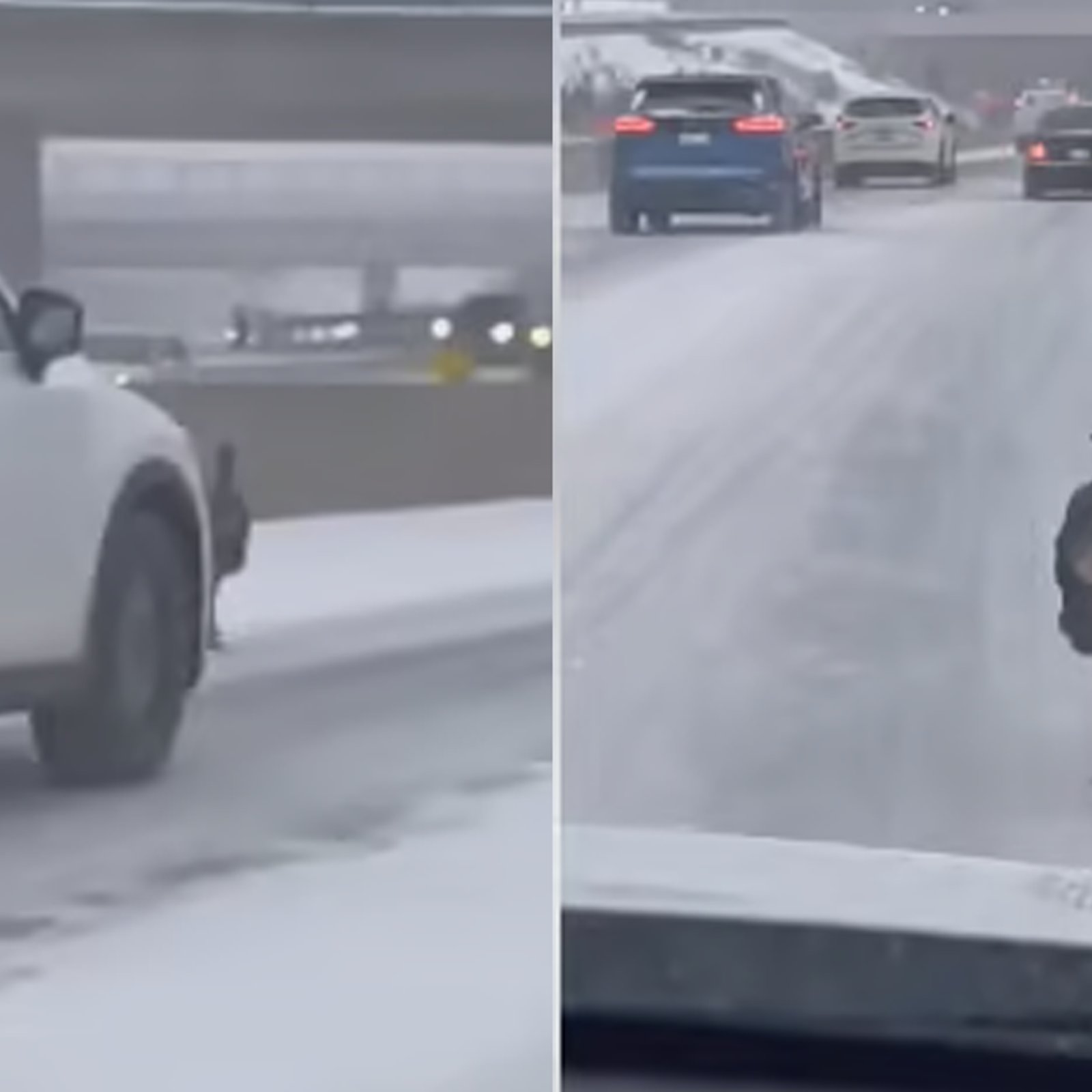 Une grosse dinde noire sème la zizanie sur l'autoroute.