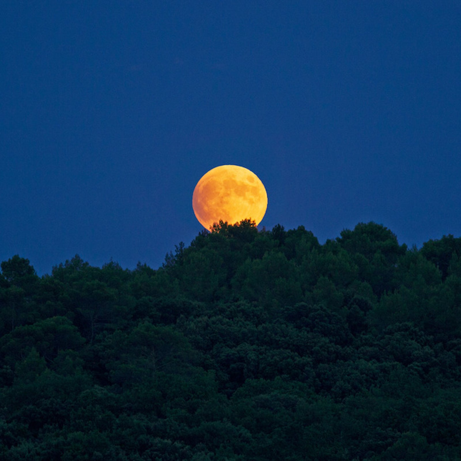 L'influence de la Lune de Sang du 28 octobre sur chaque signe astrologique