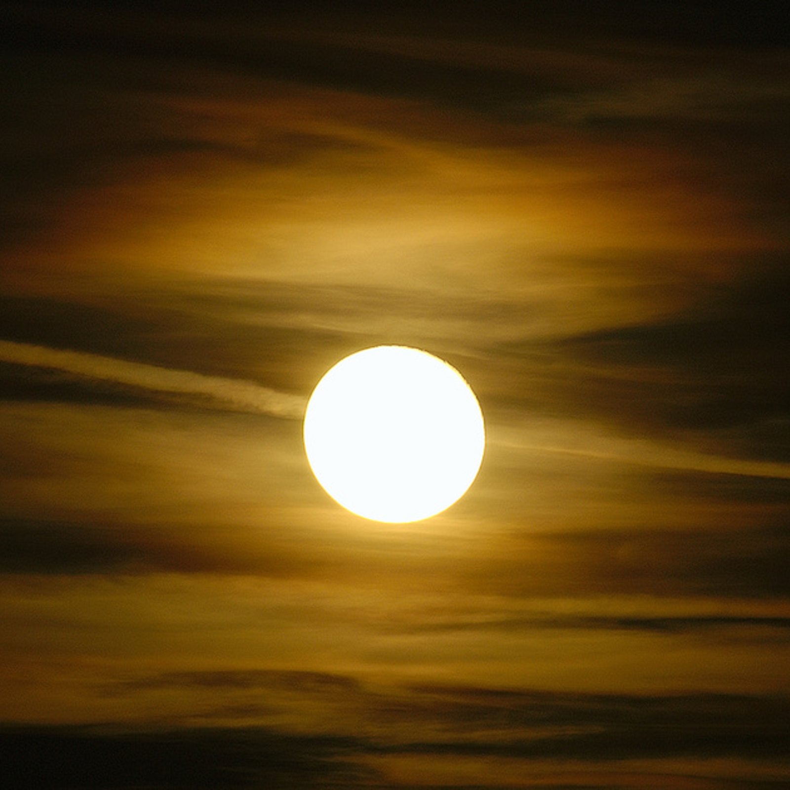 Voici ce qu’apportera la Pleine Lune en Lion du 25 janvier