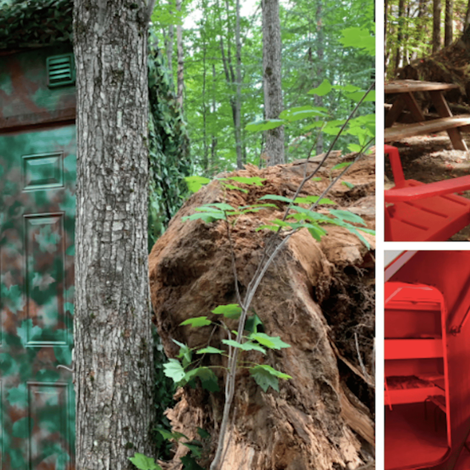 Séjour insolite: une nuit dans un bunker en forêt