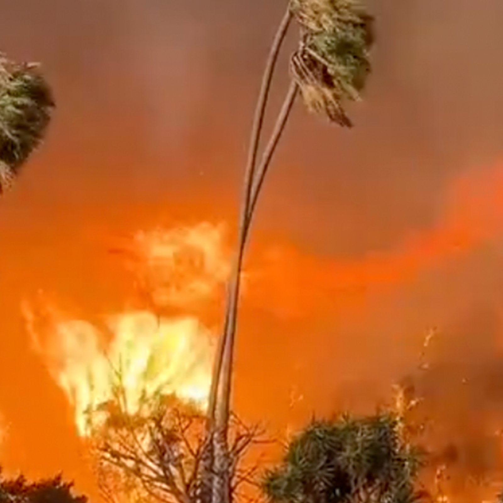 Voici pourquoi les pompiers n'utilisent pas l'eau de l'océan pour éteindre les incendies en Californie