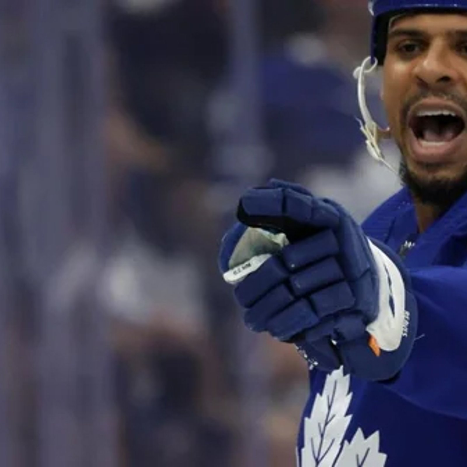 Maple Leafs humilate Ryan Reaves during last night’s game!