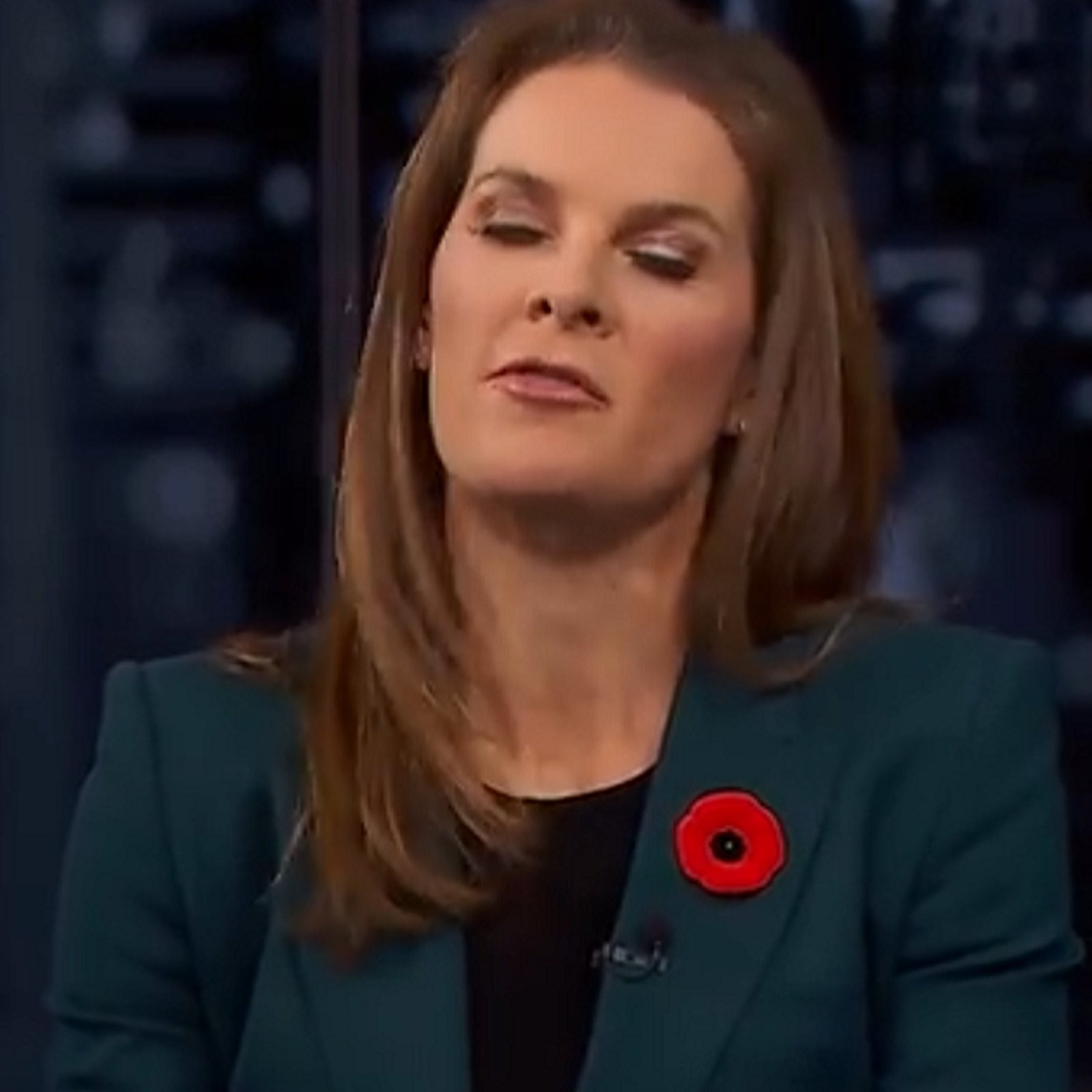 Jennifer Botterill slammed by fans after heated exchange on Hockey Night in Canada.