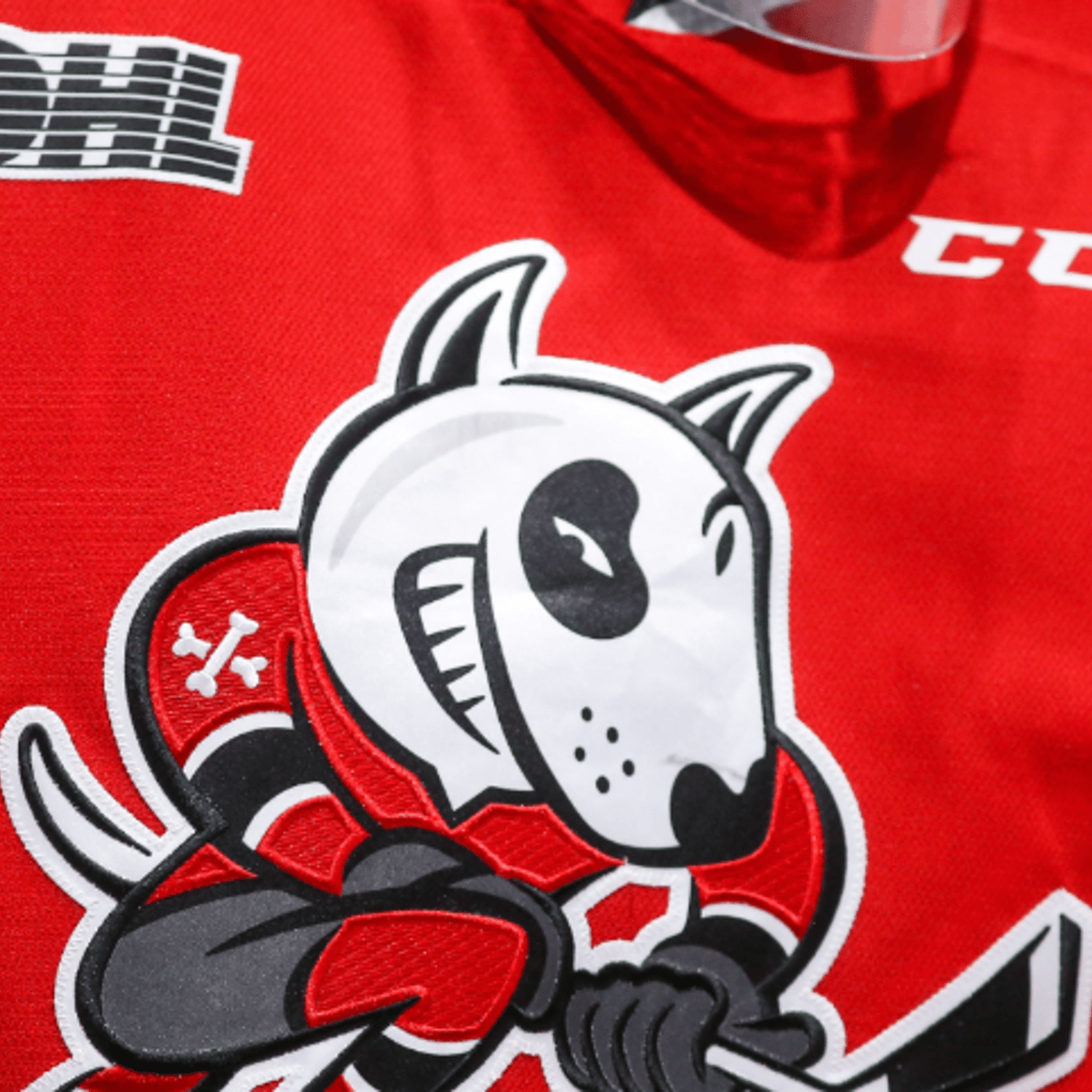 OHL's Niagara IceDogs are under investigation... again