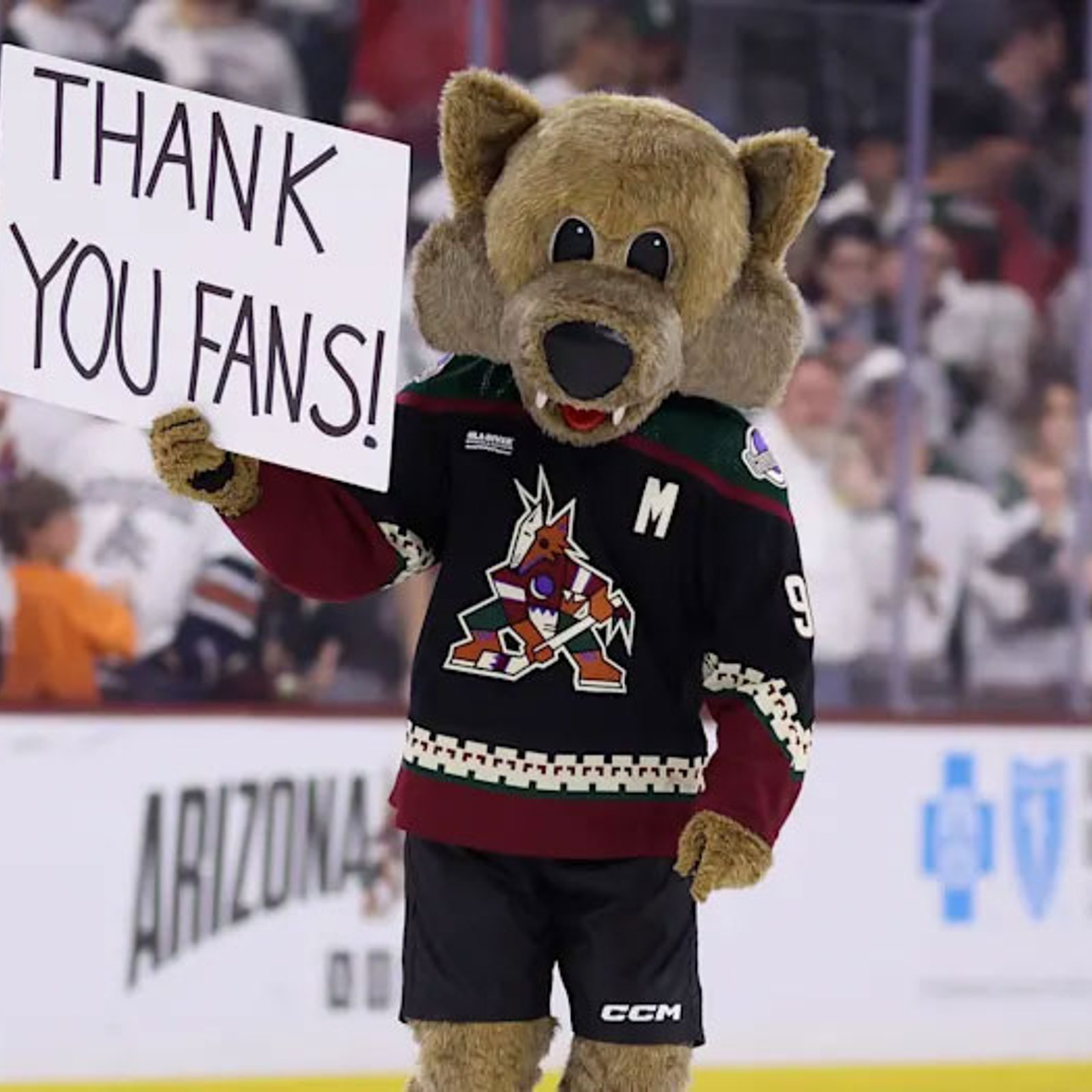 Newly elected officials in Phoenix meet with Gary Bettman to bring back the Coyotes!