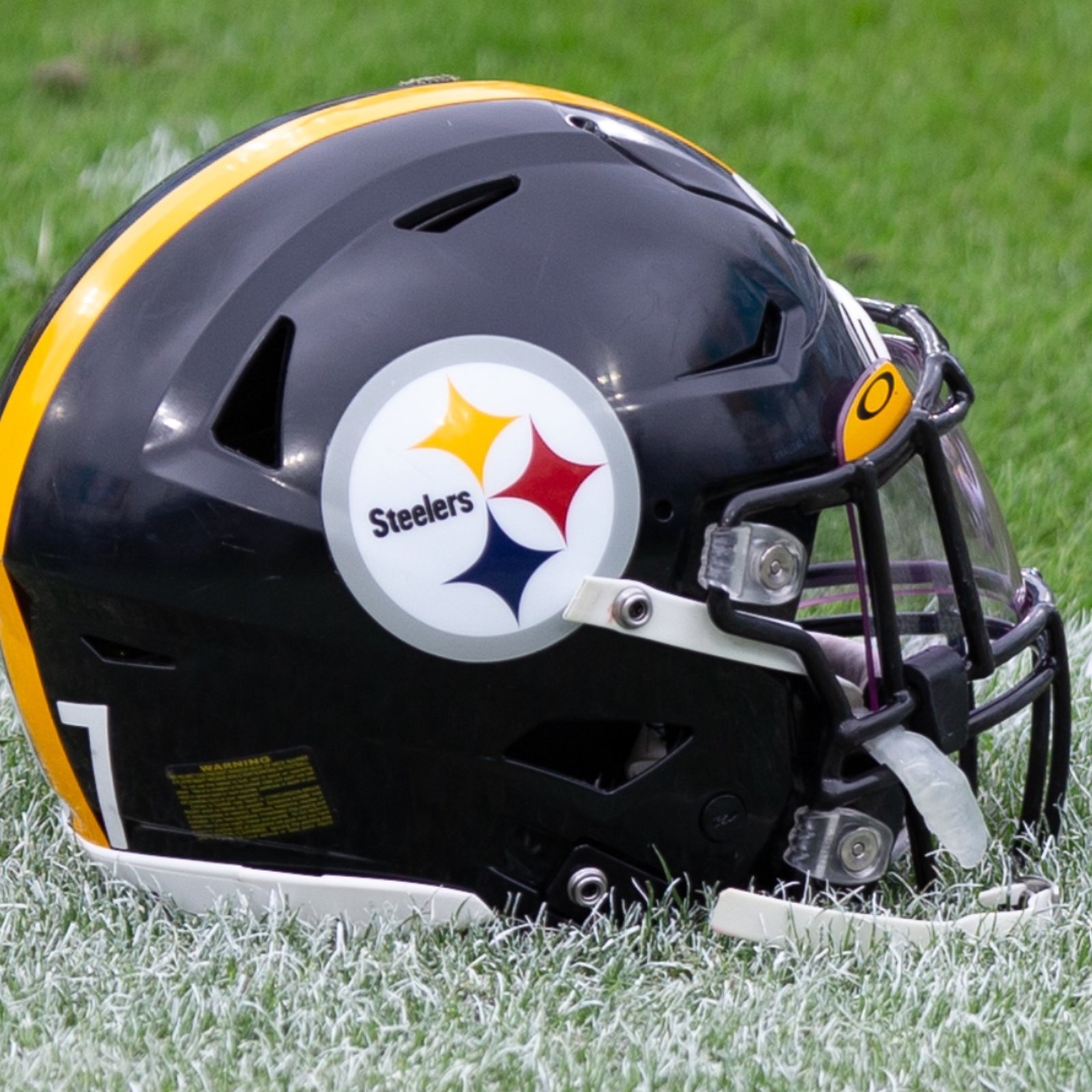 Pittsburgh Steelers get terrible injury news 