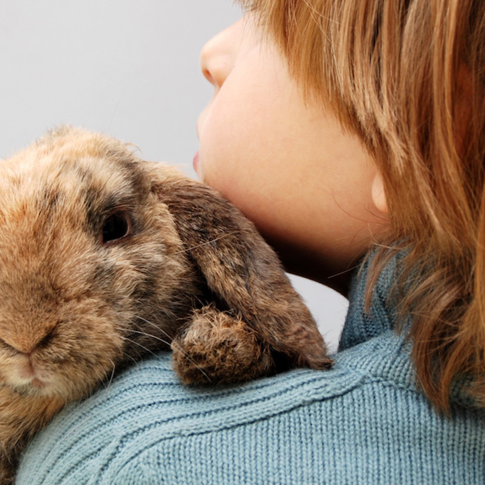 Les animaux de compagnie sont bons pour la santé mentale et voici pourquoi: