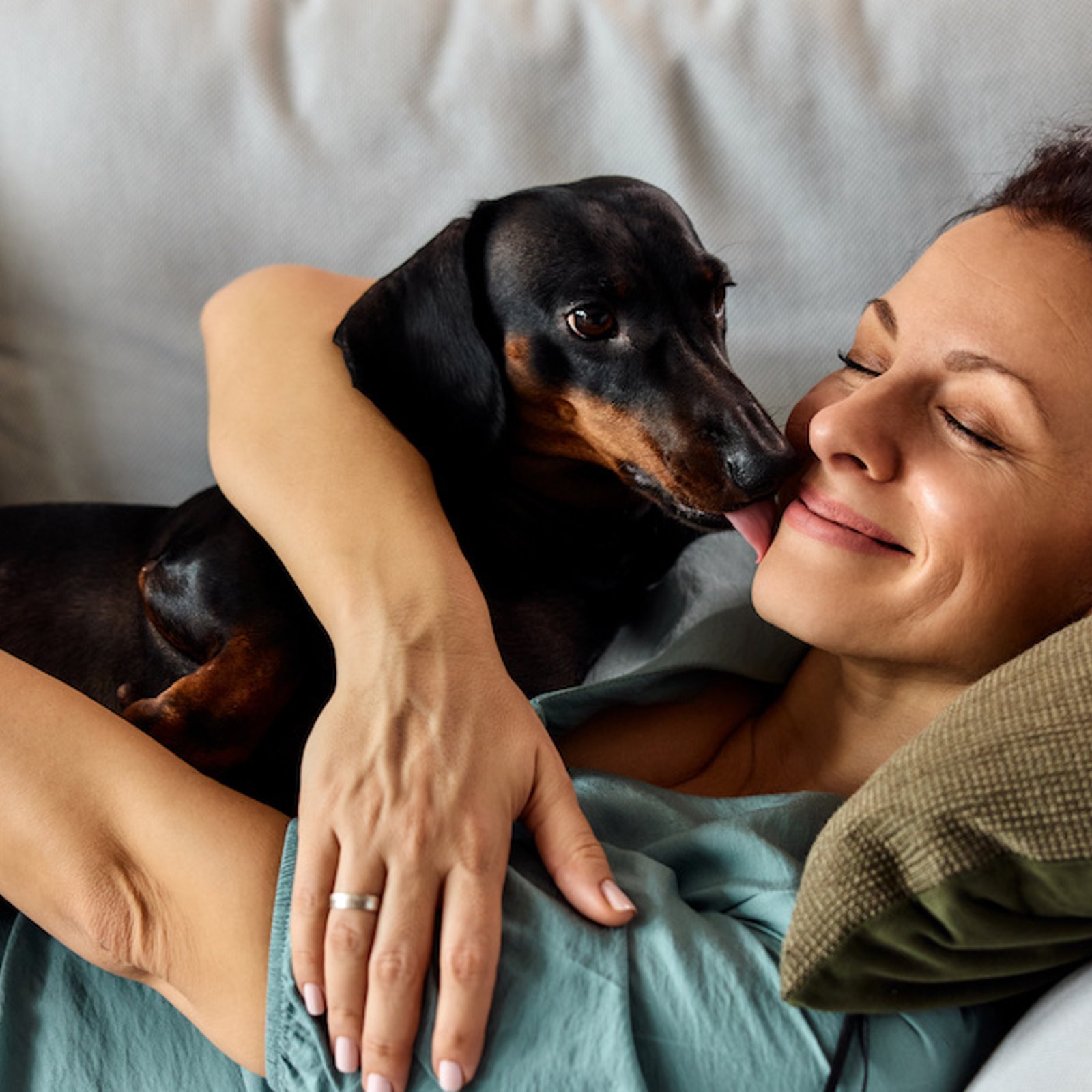 Est-il dangereux de laisser un chien nous lécher le visage?