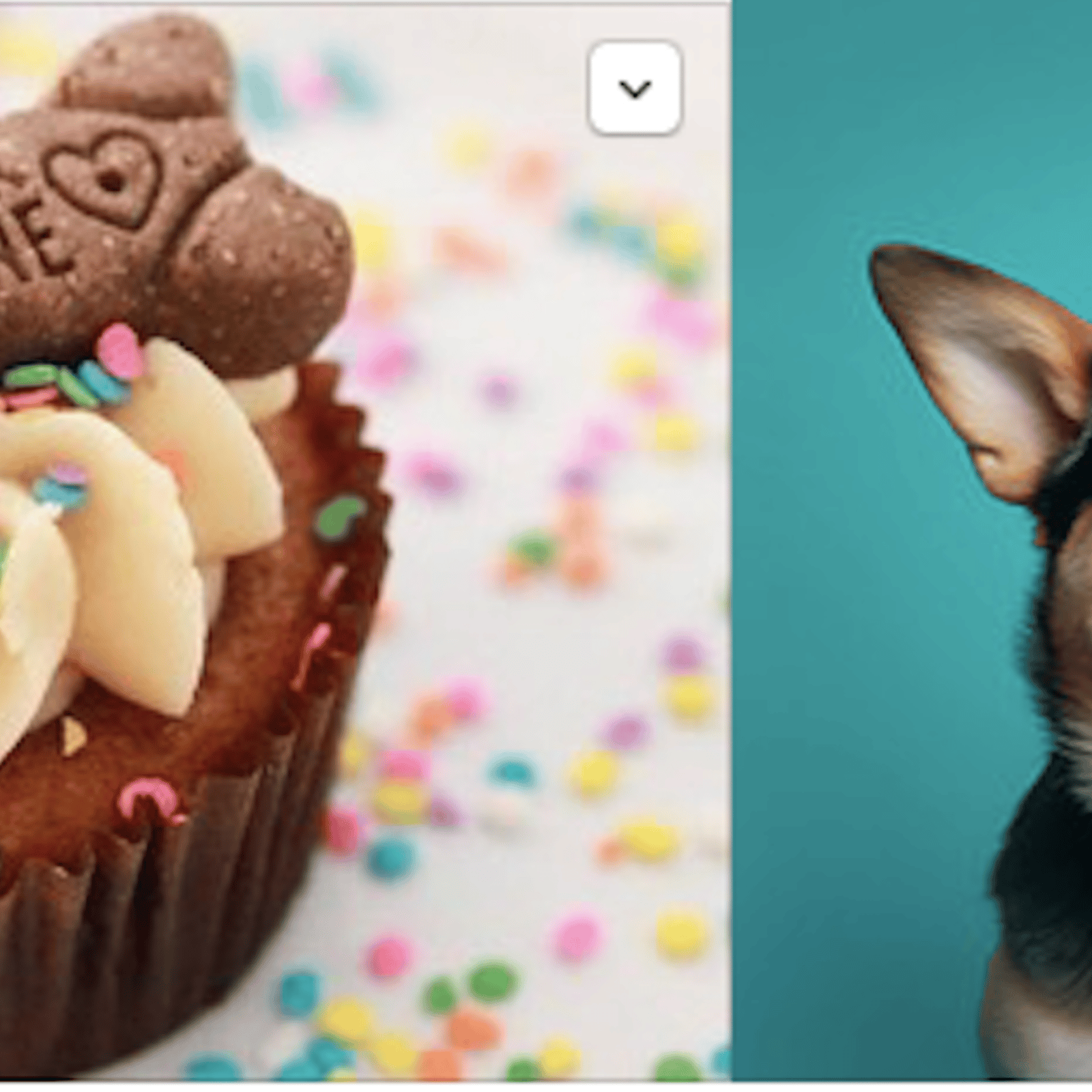 Cupcakes pour chiens