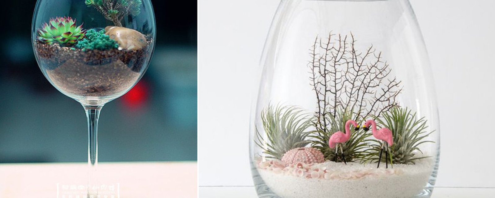 20 idées créatives pour monter un terrarium maison soi-même! 