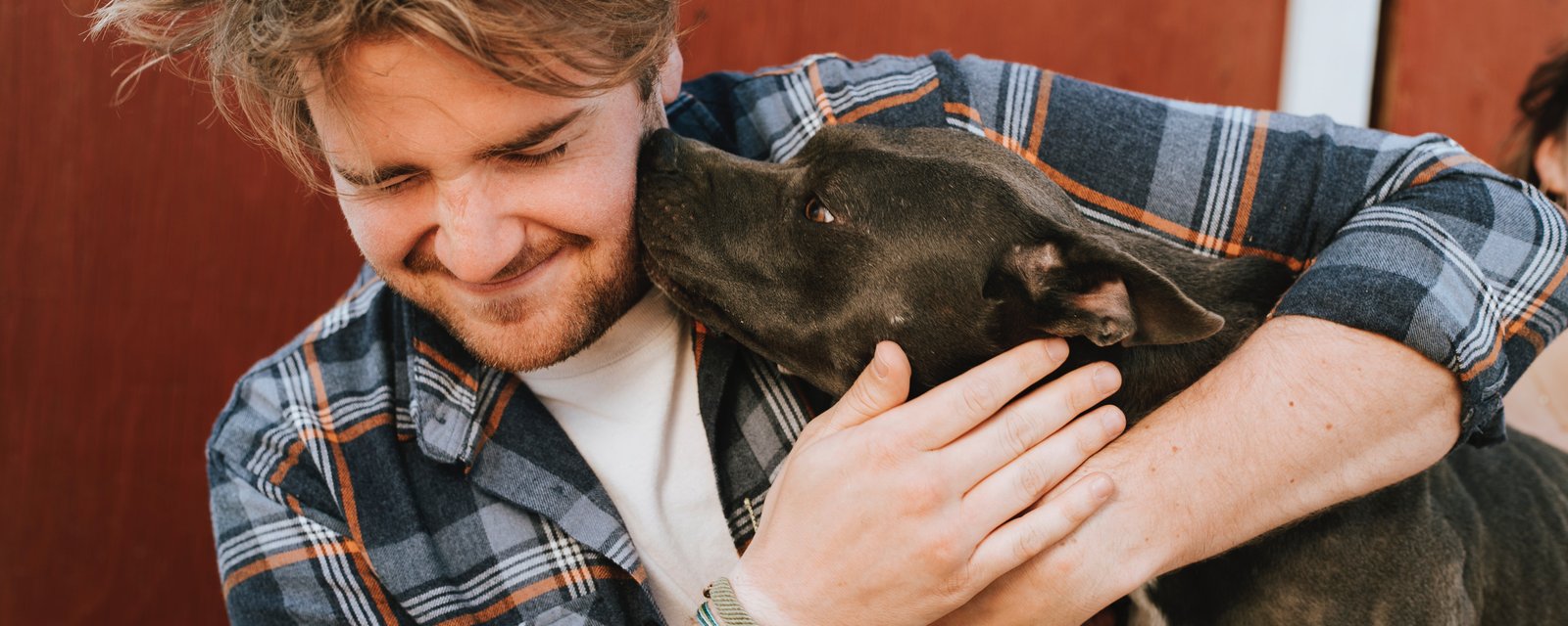 Si votre chien fait l'une de ces 8 choses, cela signifie qu'il vous aime vraiment beaucoup!