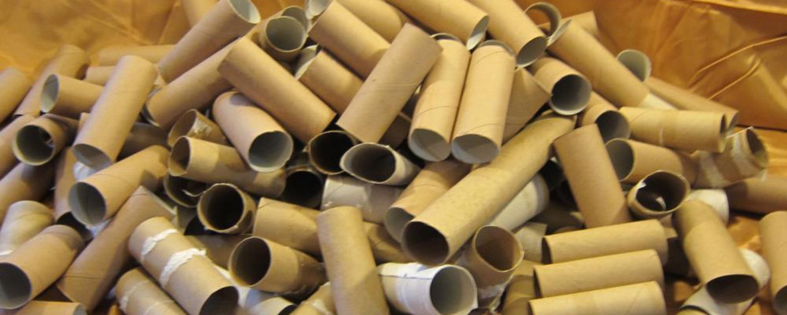 Ne jetez plus les rouleaux de papier de papier hygiénique! Voici 10 façons de les réutiliser partout, dans la maison! 